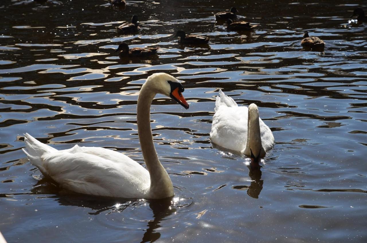 Apartament Tewitfield Marina Carnforth Zewnętrze zdjęcie